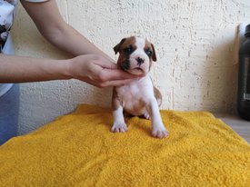 IMG-9041cc5666301ebbc86358744665f7d3-V.jpg