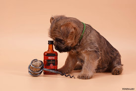 IMG_0181.jpg (150.25 КБ, Просмотров: 3445) IMG_0181.jpg