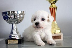 IMG_1076.JPG
