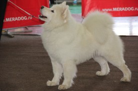 IMG_1299.JPG