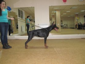 IMG_1609.JPG