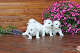 IMG_2134.JPG