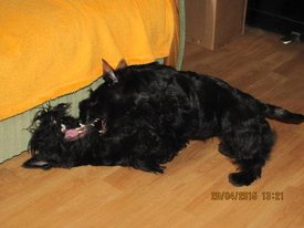 IMG_4129.jpg