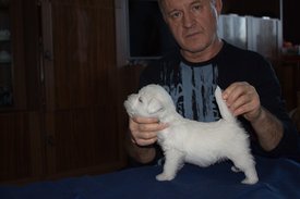 IMG_4236.jpg (83.08 КБ, Просмотров: 2363) IMG_4236.jpg