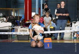 IMG_4272-2.jpg (128.21 КБ, Просмотров: 10295) IMG_4272-2.jpg