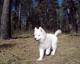 IMG_6166.JPG