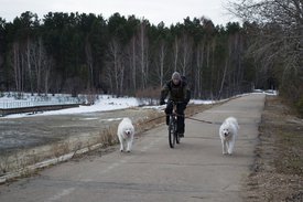 IMG_6177.JPG