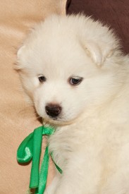 IMG_9726.jpg