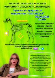 PSX_20210125_224412.jpg (220.44 КБ, Просмотров: 1975) PSX_20210125_224412.jpg