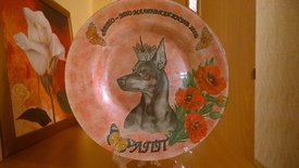 WP_20160715_23_39_08_Pro.jpg