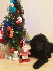 WhatsApp Image 2020-12-29 at 22.53.39.jpeg (89.64 КБ, Просмотров: 1451) WhatsApp Image 2020-12-29 at 22.53.39.jpeg