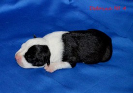 Z9_av4rlrQ8.jpg (87.96 КБ, Просмотров: 1680) Z9_av4rlrQ8.jpg