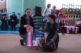 _DSC3397.jpg (92.08 КБ, Просмотров: 9945) _DSC3397.jpg