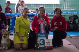 _DSC3407.jpg (89.49 КБ, Просмотров: 9944) _DSC3407.jpg