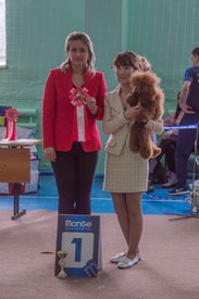 _DSC3927.jpg (76.24 КБ, Просмотров: 9919) _DSC3927.jpg