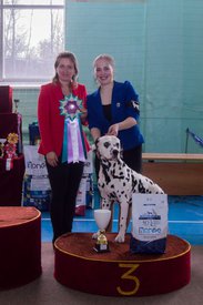 _DSC4288.jpg (76.48 КБ, Просмотров: 9937) _DSC4288.jpg