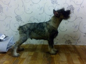 aH2UoSBT_9c.jpg (80.83 КБ, Просмотров: 3169) aH2UoSBT_9c.jpg