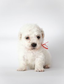 bNN-OIZaeTk.jpg (53.28 КБ, Просмотров: 3750) bNN-OIZaeTk.jpg