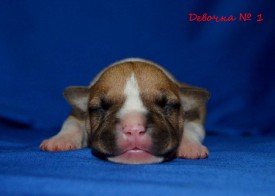 gKprA_Hcgtg.jpg (67.43 КБ, Просмотров: 1680) gKprA_Hcgtg.jpg