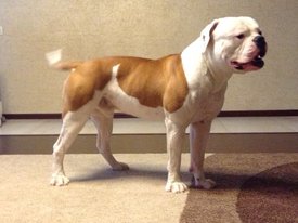 getImage (18).jpg