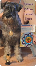 getImage (3).jpg (139.56 КБ, Просмотров: 1979) getImage (3).jpg