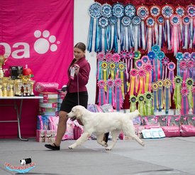 getImage.jpeg (150.03 КБ, Просмотров: 155318) getImage.jpeg