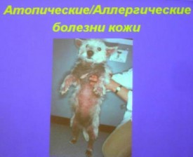 i0052rp.jpg (14.28 КБ, Просмотров: 4386) i0052rp.jpg