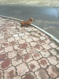 image.jpeg