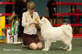 image1.jpg (218.89 КБ, Просмотров: 1256) image1.jpg