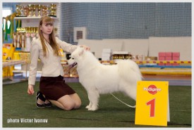 image3.jpg (159.18 КБ, Просмотров: 1256) image3.jpg