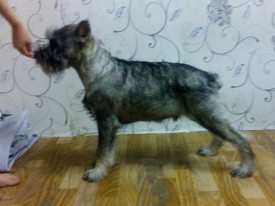 kwNnRHSqAEw.jpg (89.43 КБ, Просмотров: 3169) kwNnRHSqAEw.jpg