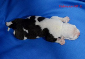 qR-J3h5wdn0.jpg (85.01 КБ, Просмотров: 1680) qR-J3h5wdn0.jpg