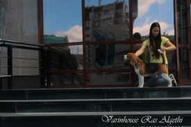 sChjakXoqkU.jpg (96.5 КБ, Просмотров: 4305) sChjakXoqkU.jpg