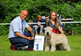 showsphoto_without.jpg (174.43 КБ, Просмотров: 1532) showsphoto_without.jpg