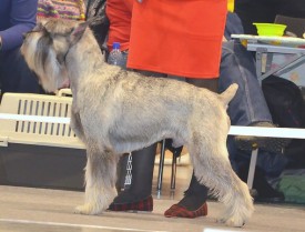 t_G6hd7e4KA.jpg (146.85 КБ, Просмотров: 3413) t_G6hd7e4KA.jpg