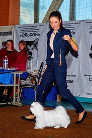 tiY0au6fV40.jpg (176.38 КБ, Просмотров: 13666) tiY0au6fV40.jpg