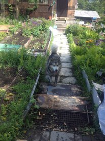 OWamZzjBmCQ.jpg (243.1 КБ, Просмотров: 1617) OWamZzjBmCQ.jpg