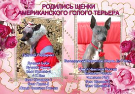 7.jpg (338.85 КБ, Просмотров: 1602) 7.jpg