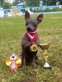 CYaaMH1BKsg.jpg (319.85 КБ, Просмотров: 1603) CYaaMH1BKsg.jpg