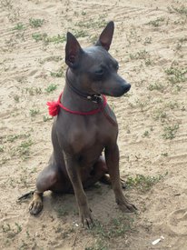 3wFsIkOUGhU.jpg (264.73 КБ, Просмотров: 1602) 3wFsIkOUGhU.jpg