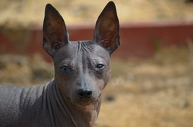 K3zgKP5PGFk.jpg (110.4 КБ, Просмотров: 1602) K3zgKP5PGFk.jpg