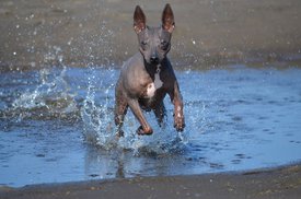 BmsLcqUVHxk.jpg (96.3 КБ, Просмотров: 1600) BmsLcqUVHxk.jpg