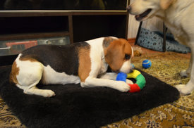 DSC_0630.jpg (601.51 КБ, Просмотров: 3872) DSC_0630.jpg