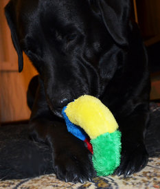 DSC_0637.jpg (672.1 КБ, Просмотров: 3471) DSC_0637.jpg