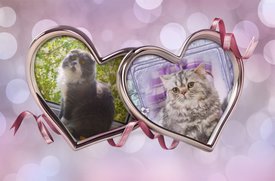 68040650-68D5-45AF-9836-09D50B9F6C21.jpg (136.37 КБ, Просмотров: 4340) 68040650-68D5-45AF-9836-09D50B9F6C21.jpg