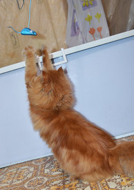 DSC_0658.jpg (706.7 КБ, Просмотров: 3851) DSC_0658.jpg