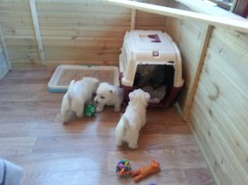 Щ_0.jpg (101.92 КБ, Просмотров: 1976) Щ_0.jpg