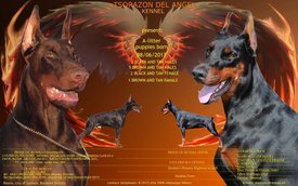 презентация.jpg (84.55 КБ, Просмотров: 2667) презентация.jpg