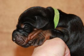 4.jpg (44.62 КБ, Просмотров: 2533) 4.jpg