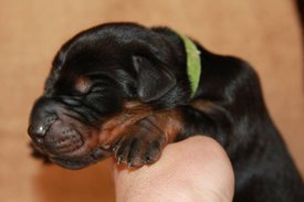 5.jpg (41.86 КБ, Просмотров: 2675) 5.jpg